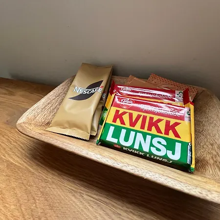 Apartment Arctic Escape Close To Center